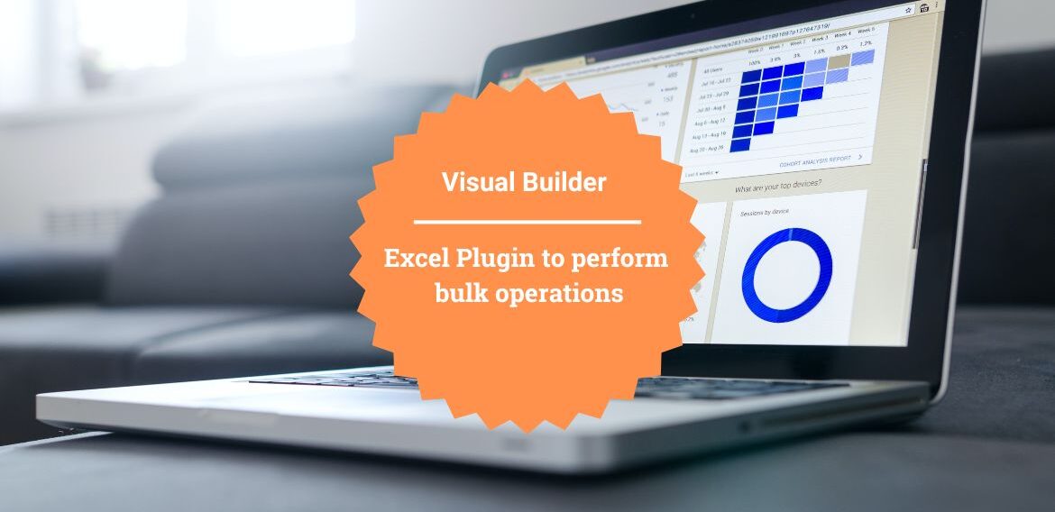 Oracle Visual Builder Excel Plugin to perform bulk operations