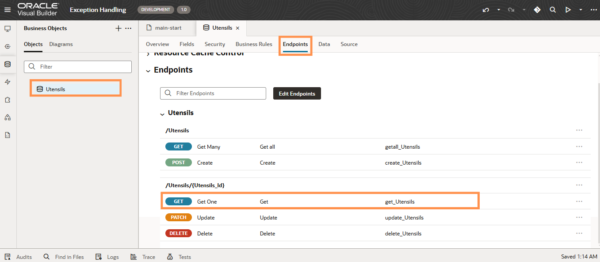 Exception Handling in Oracle Visual Builder - TechSupper